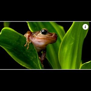 Meet your Posher, Rosario